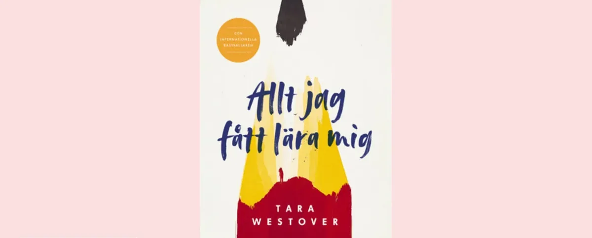 Allt jag fått lära mig som film